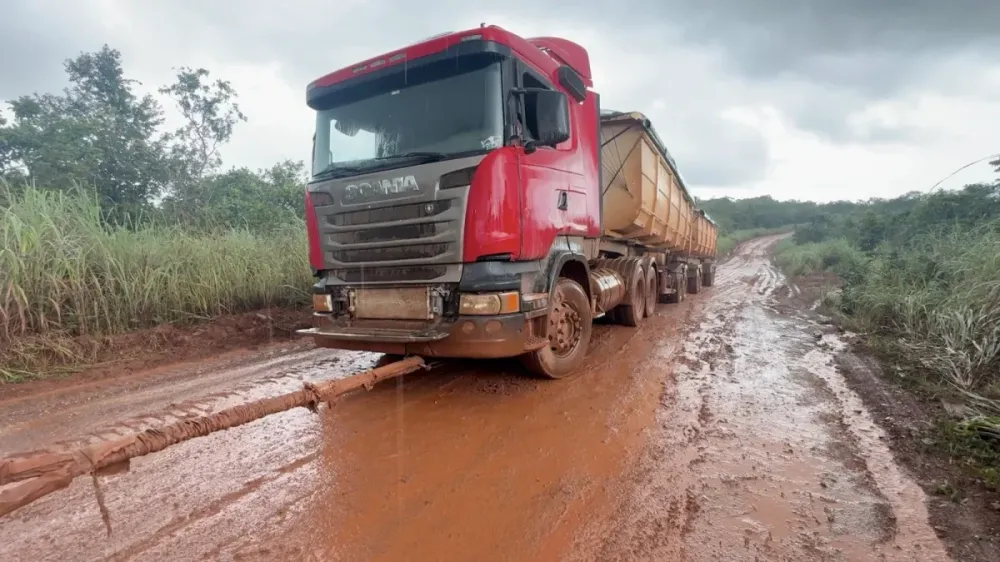 Foto: Pedro Silvestre/Canal Rural Mato Grosso