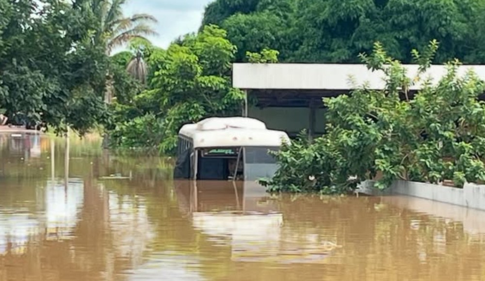 Foto: Reprodução