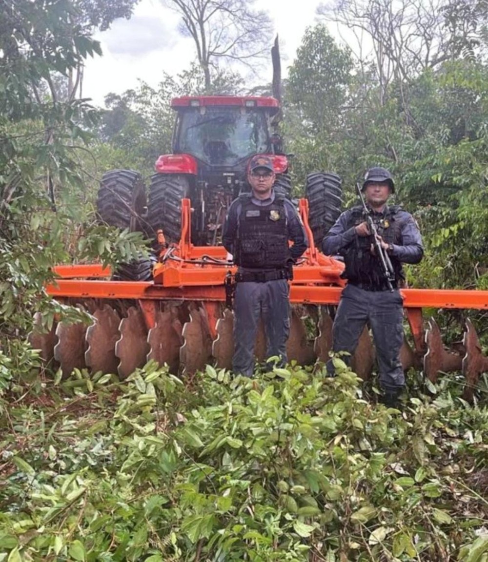 Foto: Reprodução